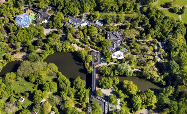 Aerial photo, Allwetterzoo Münster, Gievenbach, Münster, Münsterland, North Rhine-Westphalia,