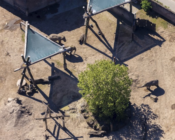 Aerial view, all-weather zoo Münster, elephant house, elephants, open-air grounds, Münster,