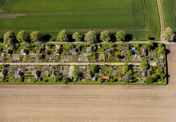 Aerial view, allotment garden site Uhlenhorst, Münster, Münsterland, North Rhine-Westphalia,