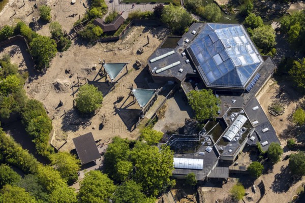 Aerial view, all-weather zoo Münster, elephant house, Münster, Münsterland, North Rhine-Westphalia,