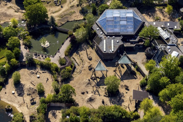 Aerial view, all-weather zoo Münster, elephant house, Münster, Münsterland, North Rhine-Westphalia,