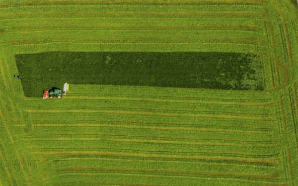 Aerial view, tractor mowing meadow, Münster, Münsterland, North Rhine-Westphalia, Germany, DE,