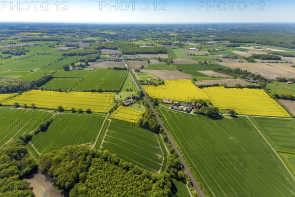Aerial view, LWW Schweinemast KG Landwirtschaftsbetrieb, Hof Große Wöstmann Christmas trees,