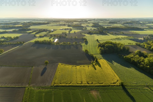 Aerial photo, Münster-Telgte airfield, Telgte, Warendorf district, Münsterland, North
