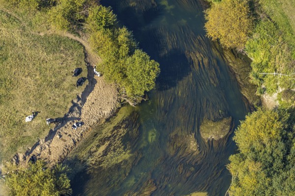Aerial view, river Lippe, Lippe floodplains, nature reserve, Lippborg, Lippetal, district Soest,
