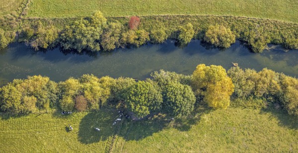 Aerial view, Lippe floodplains, river Lippe, Herzfeld, Lippetal, district Soest, North
