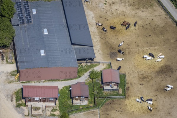 Aerial view, Elspe-Festival-Gelände, Zur Naturbühne, Lennestadt, Sauerland, North Rhine-Westphalia,