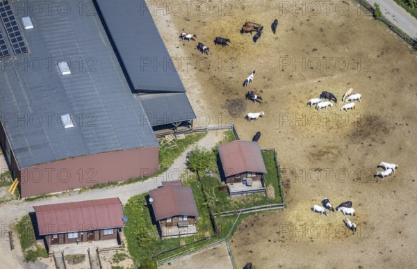 Aerial view, Elspe-Festival-Gelände, Zur Naturbühne, Lennestadt, Sauerland, North Rhine-Westphalia,