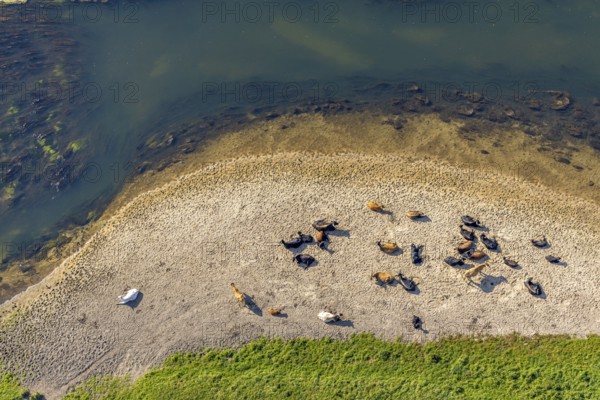 Aerial view, nature reserve Lippeaue, river Lippe, Benninghausen, Lippstadt, district Soest, North