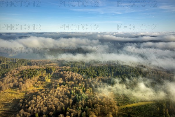 Aerial view, sea of clouds over forest area, Bödefeld, Schmallenberg, Sauerland, North