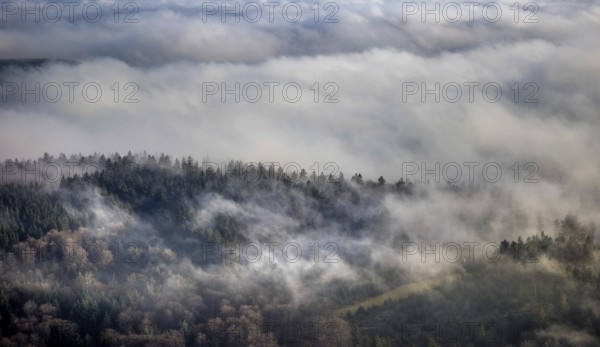 Aerial view, sea of clouds over forest area, Bödefeld, Schmallenberg, Sauerland, North
