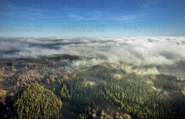 Aerial view, sea of clouds over forest area, Bödefeld, Schmallenberg, Sauerland, North