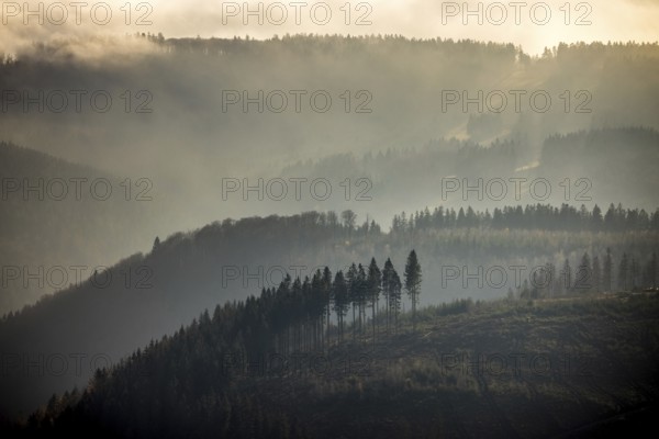 Aerial view, hilltop in fog, forest damage, Bödefeld, Schmallenberg, Sauerland, North