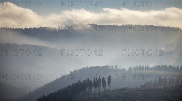 Aerial view, hilltop in fog, forest damage, Bödefeld, Schmallenberg, Sauerland, North