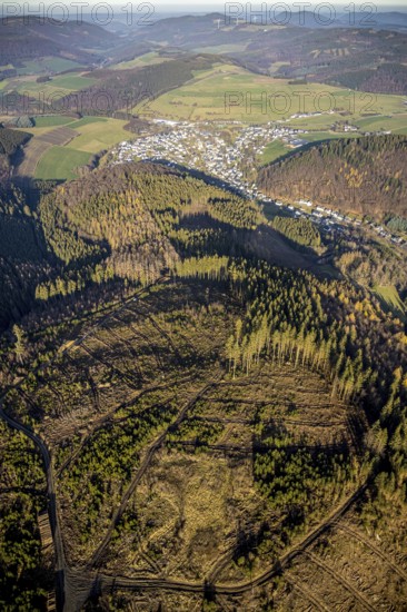 Aerial view, hilltop, forest damage, local view Bödefeld, Westernbödefeld, Schmallenberg,