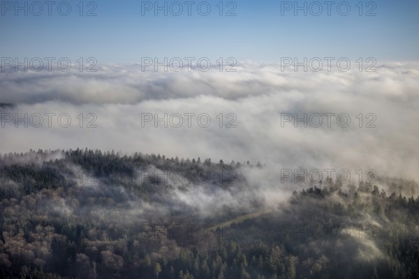 Aerial view, sea of clouds over forest area, Bödefeld, Schmallenberg, Sauerland, North