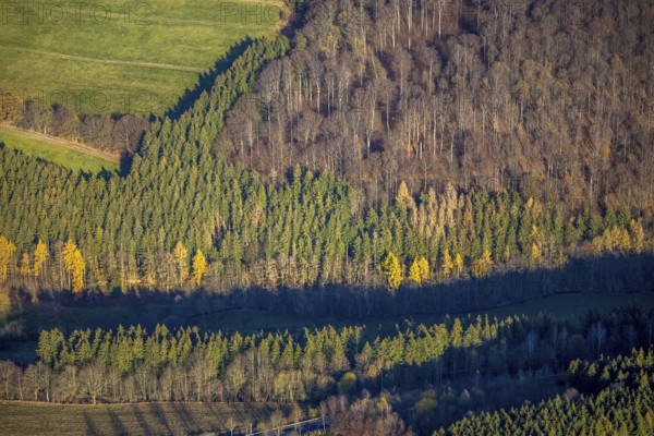 Aerial view, forest area forest dieback, Westernbödefeld, Schmallenberg, Sauerland, North