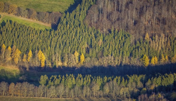 Aerial view, forest area forest dieback, Westernbödefeld, Schmallenberg, Sauerland, North
