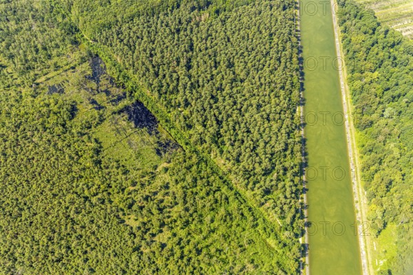 Aerial view, Venner Moor nature reserve, Dortmund-Ems canal, forest damage, Senden, Münsterland,