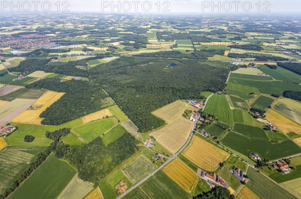Aerial view, Venner Moor nature reserve, Dortmund-Ems canal, local view, Senden, Münsterland, North