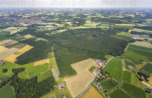 Aerial view, Venner Moor nature reserve, Dortmund-Ems canal, local view, Senden, Münsterland, North