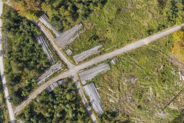 Aerial view, cleared forest areas, Waldemei, Menden, Sauerland, Märkischer Kreis, North