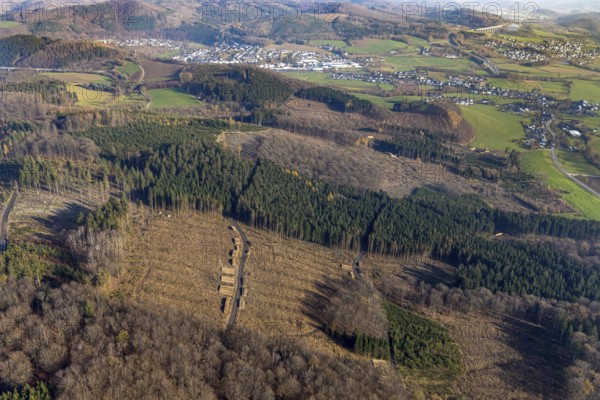 Aerial photo, forest damage, deforestation, Frenkhausen, Meschede, Sauerland, North