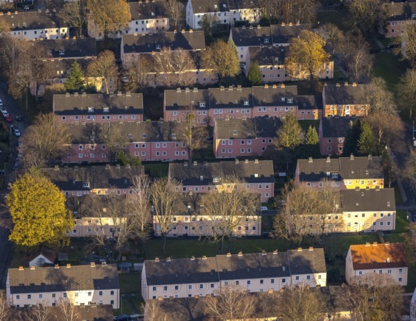 Aerial view, residential area Reichenbacher Weg, terraced houses with pink facade, Soest, Soester