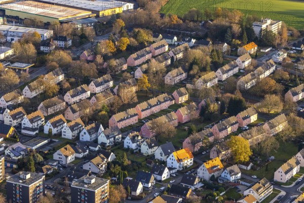 Aerial view, residential area Reichenbacher Weg, terraced houses with pink facade, Soest, Soester
