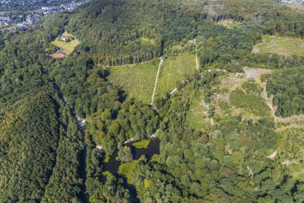 Aerial view, witches pond, cleared forest areas, Menden, Sauerland, Märkischer Kreis, North