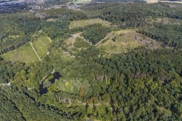 Aerial view, witches pond, cleared forest areas, Menden, Sauerland, Märkischer Kreis, North