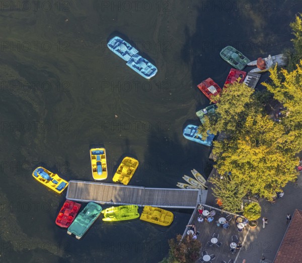 Aerial view, Alberssee, boat landing stage, pedal boats, Rebbeke, Lippstadt, Soest district, North
