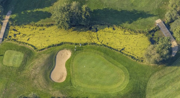 Aerial view, golf course, GolfClub Lippstadt, Lippstadt, Kreis Soest, North Rhine-Westphalia,