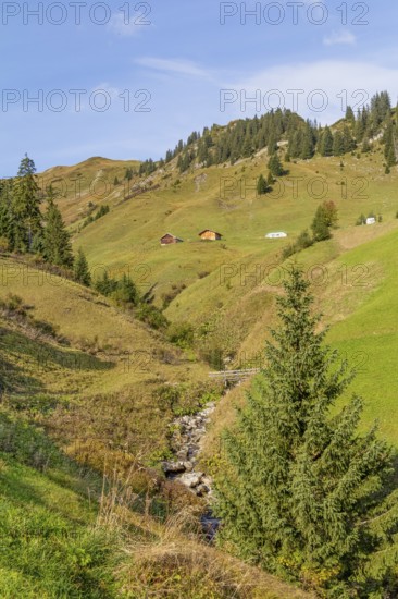 Idyllic scenery around Warth, a municipality in the district of Bregenz in the Austrian state of