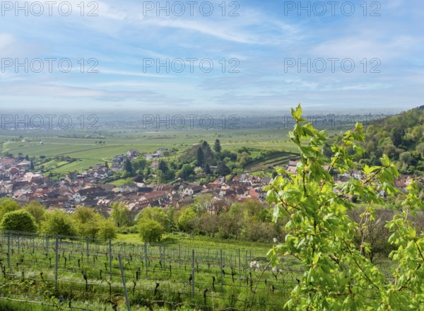 Scenery around Sankt Martin, a municipality in the Southern Wine Route area in Rhineland-Palatinate