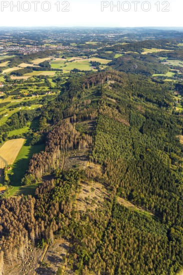 Aerial photograph, Teutoburg Forest, Gartnischberg forest area, forest dieback, Halle, East