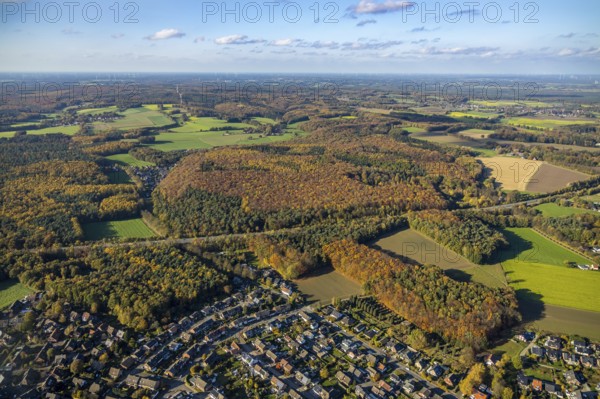 Aerial view, forest area, Holtwick, planned wind turbines, Haltern am See, Ruhr area, North