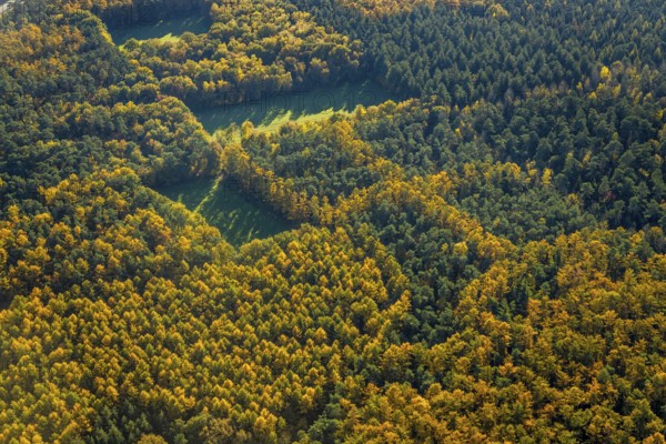 Aerial view, forest area, planned wind turbines, Bergbossendorf, Haltern am See, Ruhr area, North
