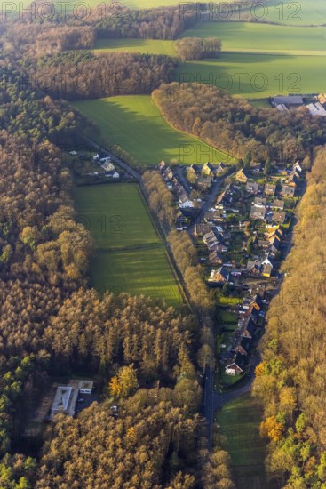 Aerial view of a forest settlement Holtwicker Straße in the district Holtwick in Haltern am See in