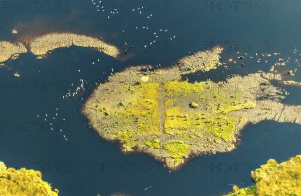 Aerial photo, Großes Torfmoor, Gehlenbeck, water areas with water birds, Hille, Lübbecke,