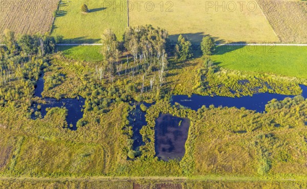 Aerial photo, Großes Torfmoor, Gehlenbeck, Hille, Lübbecke, Ostwestfalen-Lippe, OWL, North