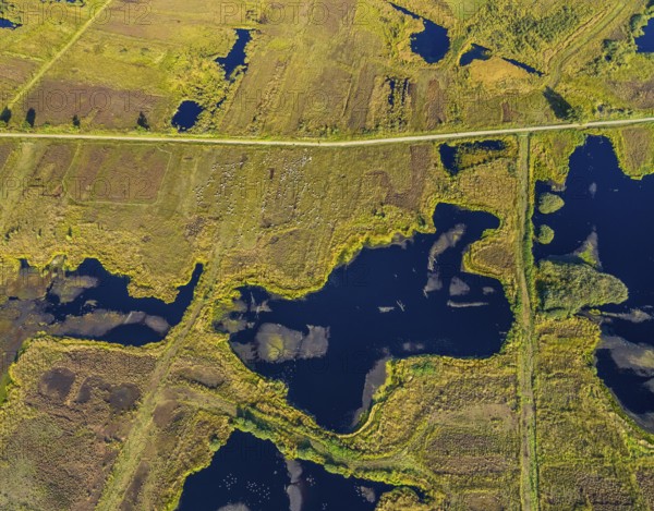 Aerial photo, Großes Torfmoor, Gehlenbeck, Hille, Lübbecke, Ostwestfalen-Lippe, OWL, North
