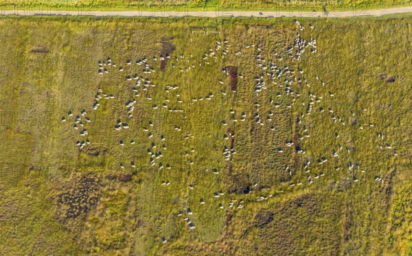 Aerial photo, Großes Torfmoor, Gehlenbeck, Hille, Lübbecke, Ostwestfalen-Lippe, OWL, North