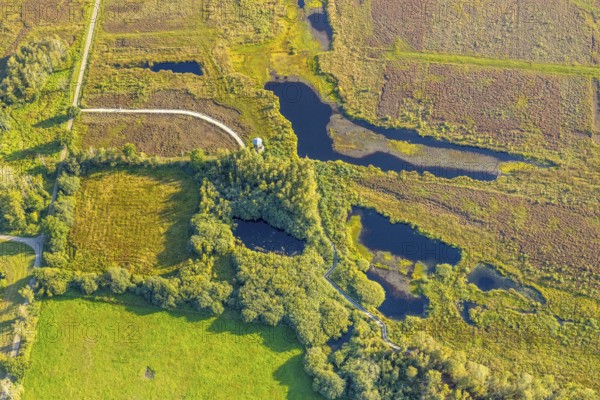 Aerial photo, Großes Torfmoor, Gehlenbeck, Hille, Lübbecke, Ostwestfalen-Lippe, OWL, North