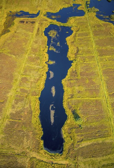 Aerial photo, Großes Torfmoor, Gehlenbeck, Hille, Lübbecke, Ostwestfalen-Lippe, OWL, North