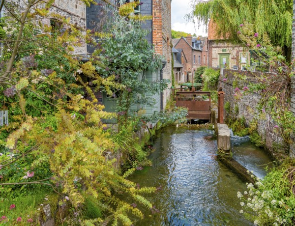 Scenery around river Veules in Veules-les-Roses, a commune in the Seine-Maritime department in the