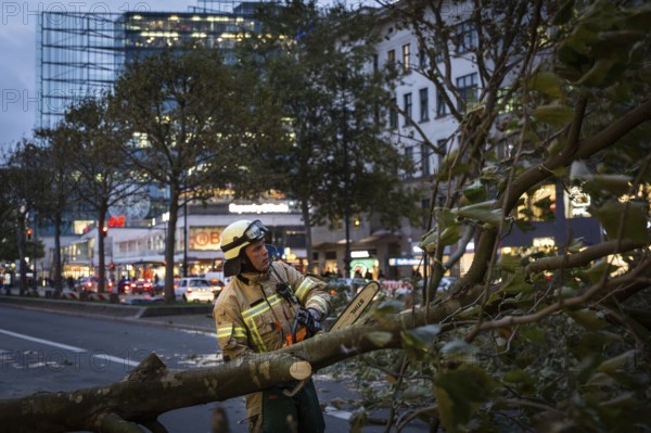 DEU Germany Germany Berlin Fire brigade operation on Kurfürstendamm. Storm Xavier had caused trees