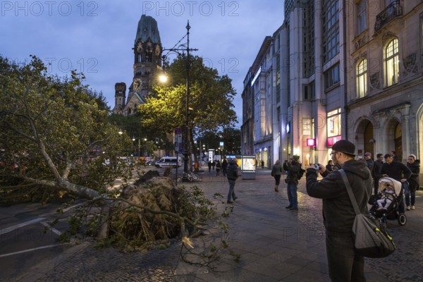 DEU Germany Germany Berlin Fire brigade operation on Kurfürstendamm. Storm Xavier had caused trees