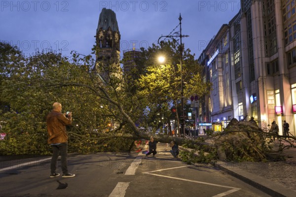 DEU Germany Germany Berlin Fire brigade operation on Kurfürstendamm. Storm Xavier had caused trees