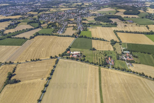 Aerial view, DPD depot in Hamm, truck stop Osterbönener Weg, logistics centre, Hamm, Ruhr area,